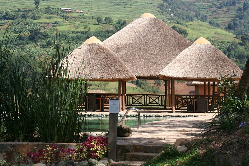 Bird's Nest Bunyonyi Resort - $$