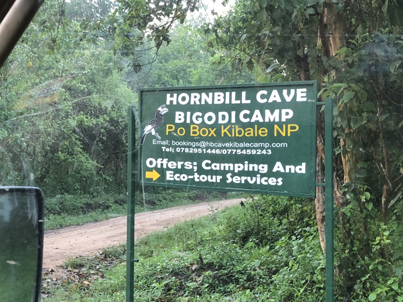 Hornbill Cave Campsite - $