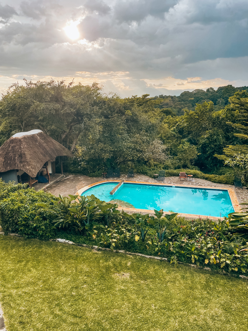 Turaco Treetops swimming pool from their restaurant