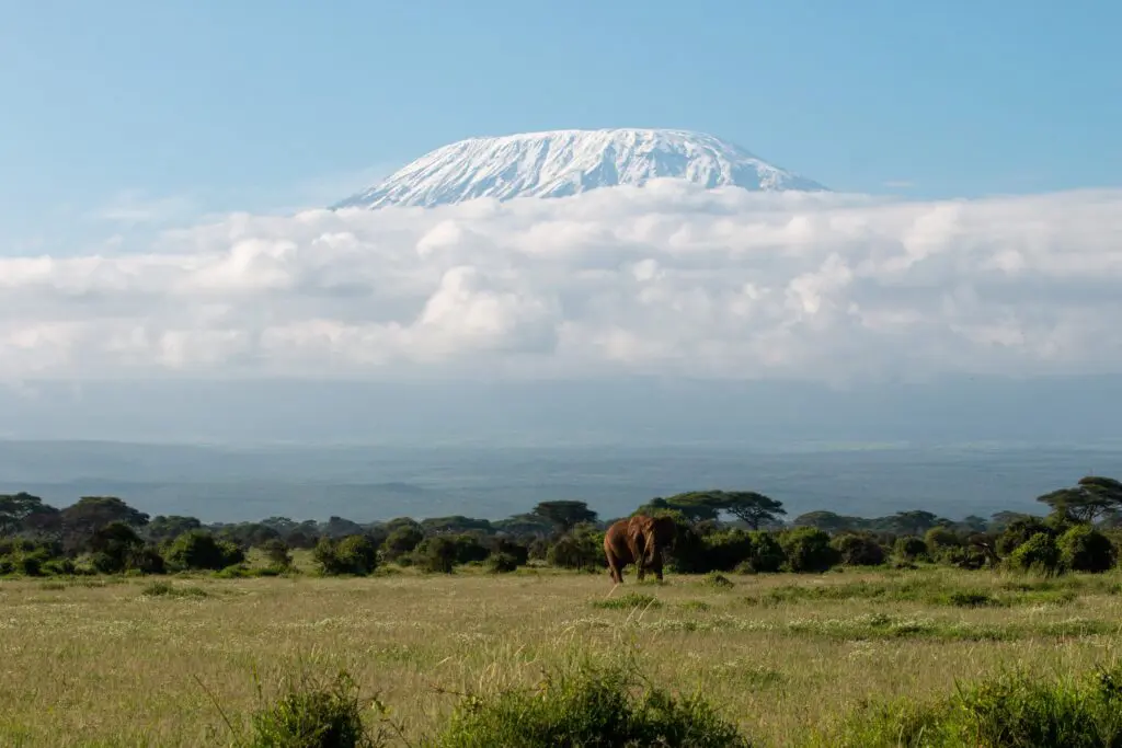 Amboseli National Park in Kenya - mountain and elephants