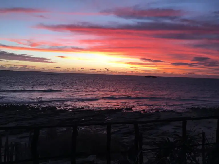 Andavadok Sunset Purple