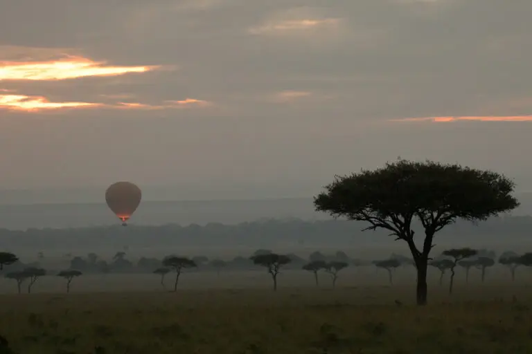 Balloon Safari Mara Mark Schutz