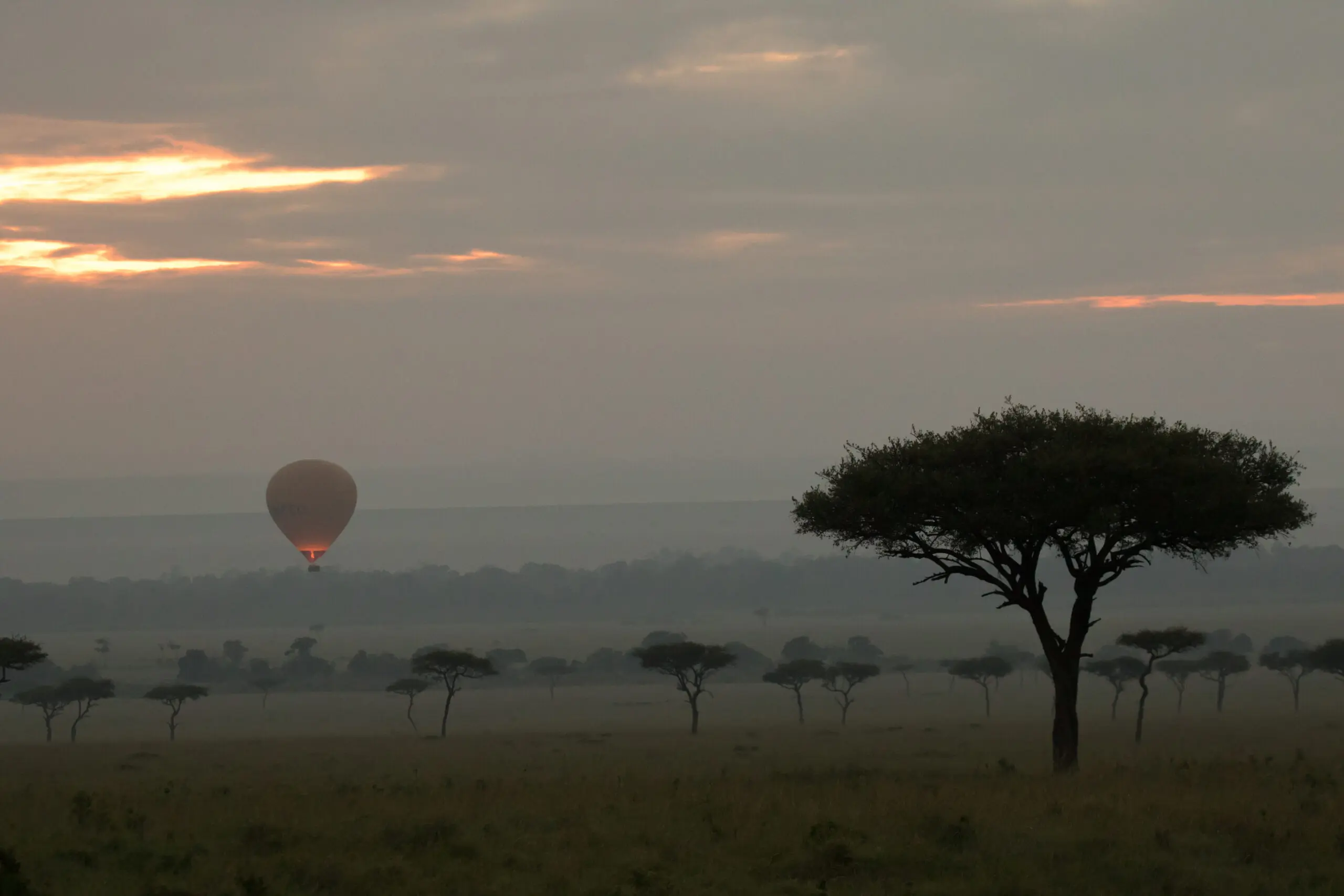 Balloon Safari Mara Mark Schutz