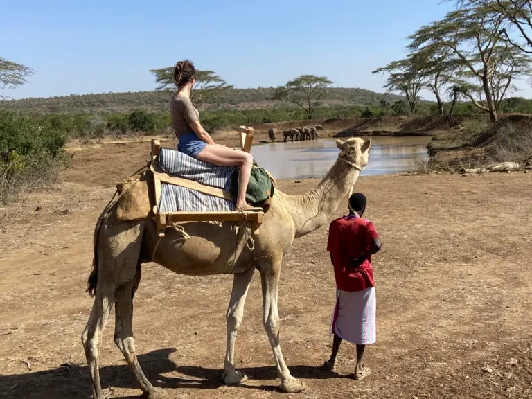 Camel Safari women Elephants Drinking Laikipia Roadtrip Kenya