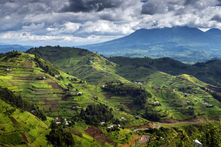 Green terraced slopes Kigezi Highlands Uganda