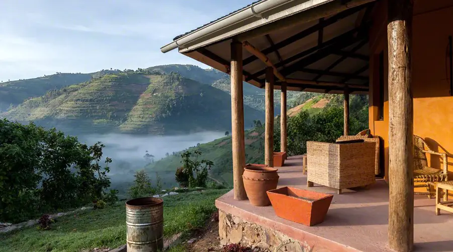 Gorilla Valley Lodge