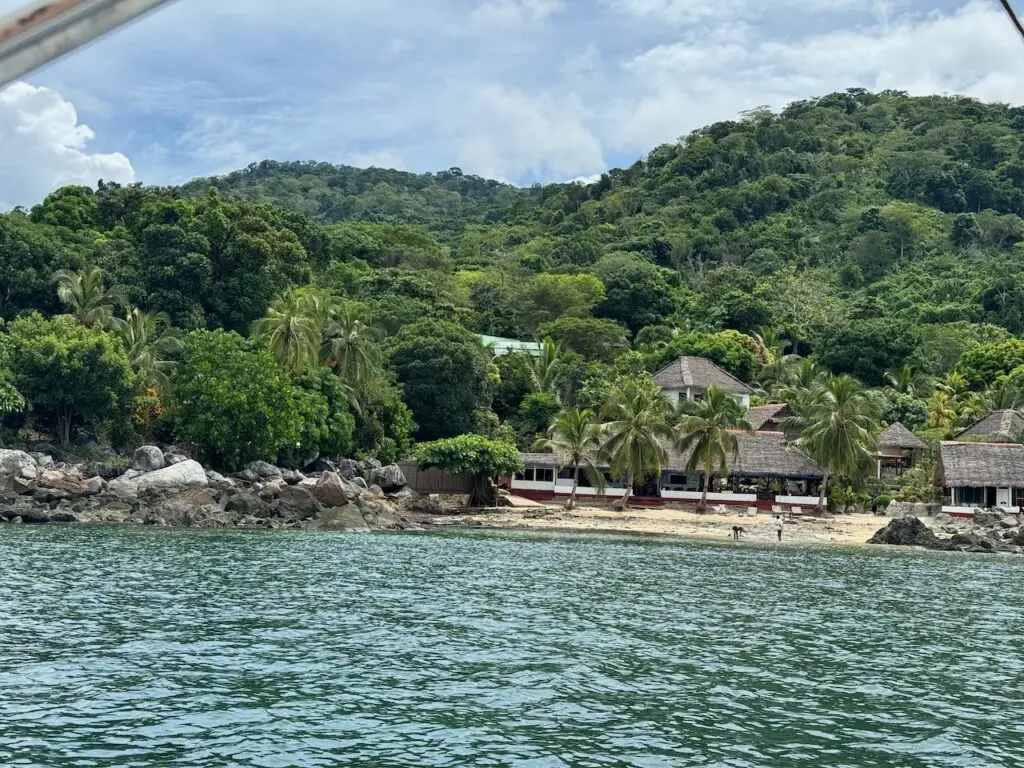 IMG 0091 (1)