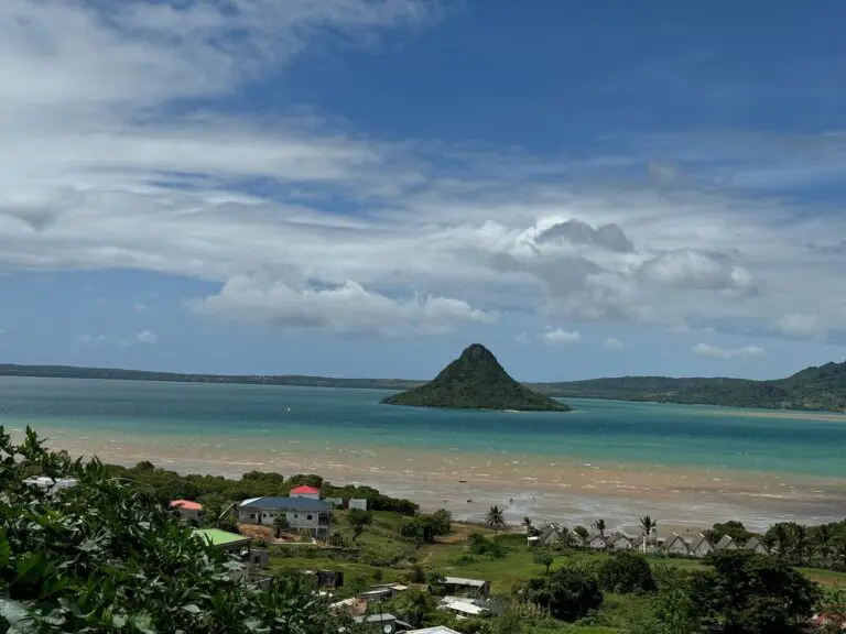 IMG 0469