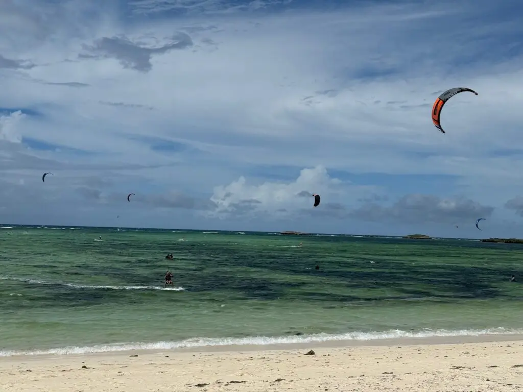 IMG 0477