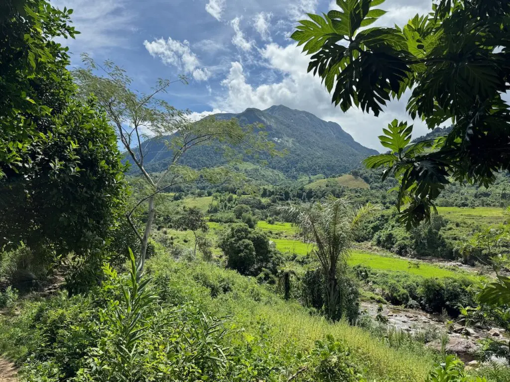 IMG 0623