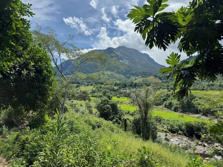 IMG 0623