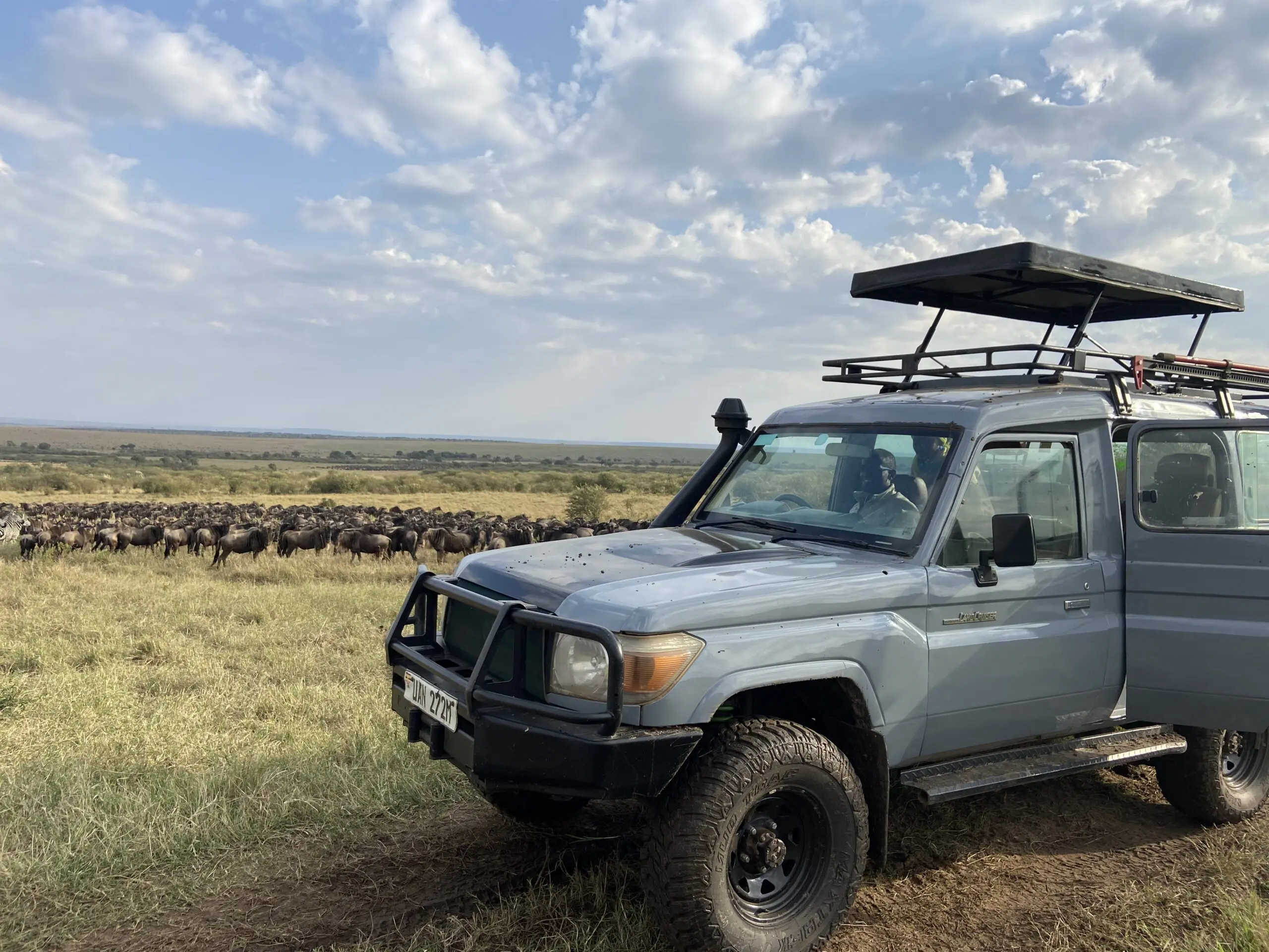 Landcruiser with popup roof in masai mara with wildebeest immigration
