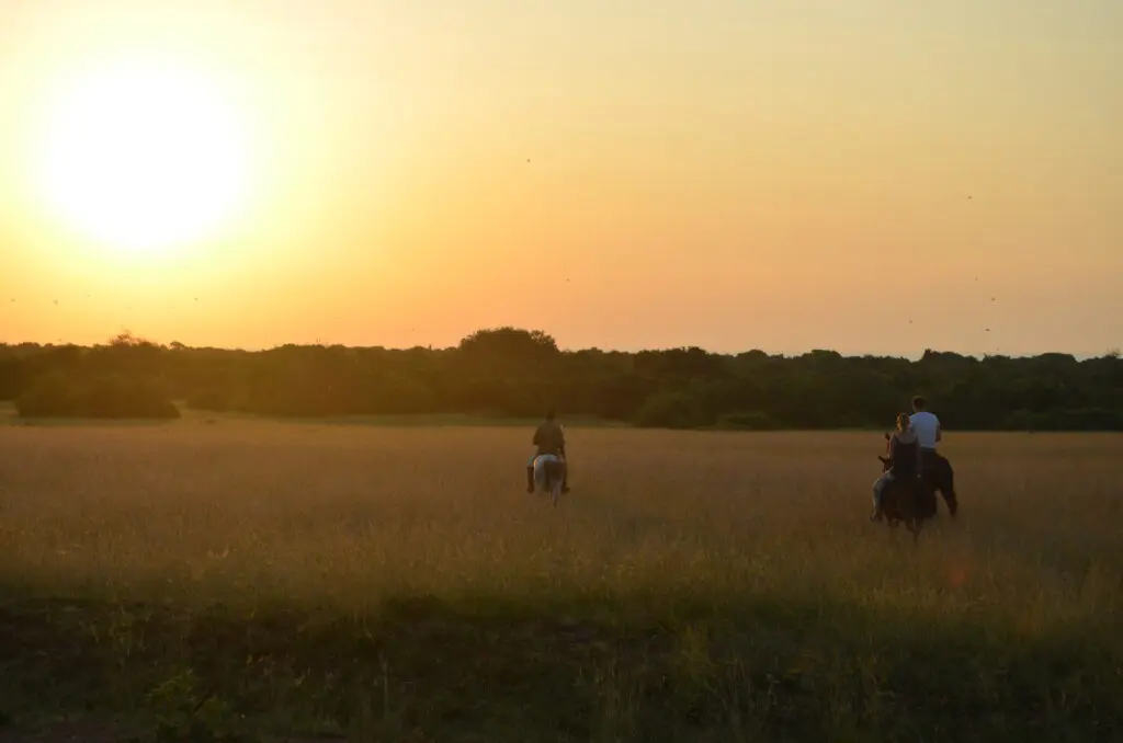 Lake Mburo Horse Riding Safari
