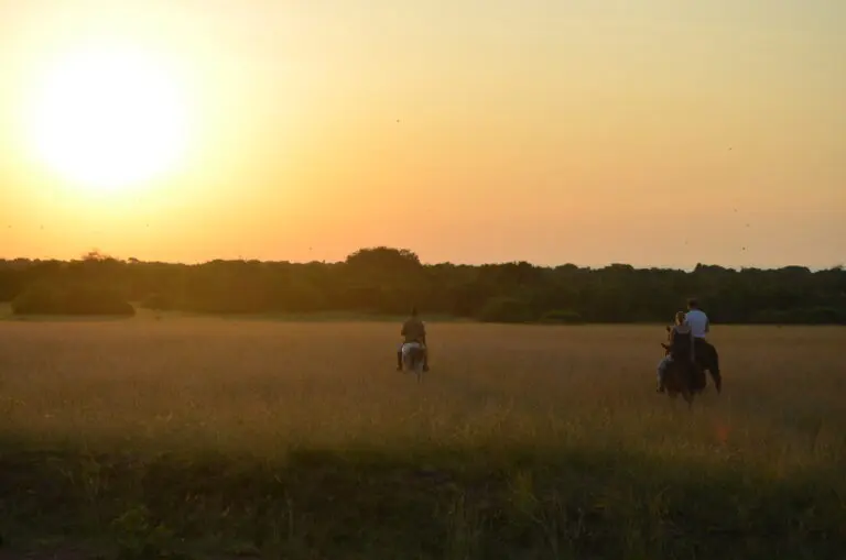 Lake Mburo Horse Riding Safari