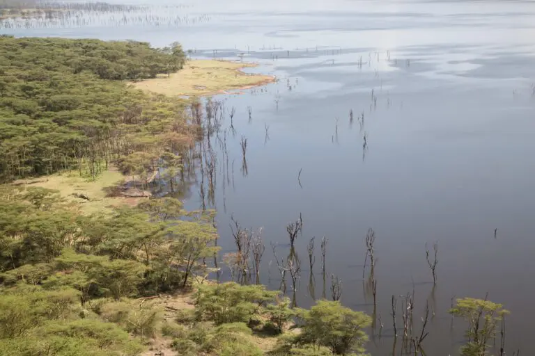 Lake Navaisha from above roadtrip kenya