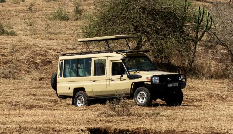 Land Cruiser Extended 001