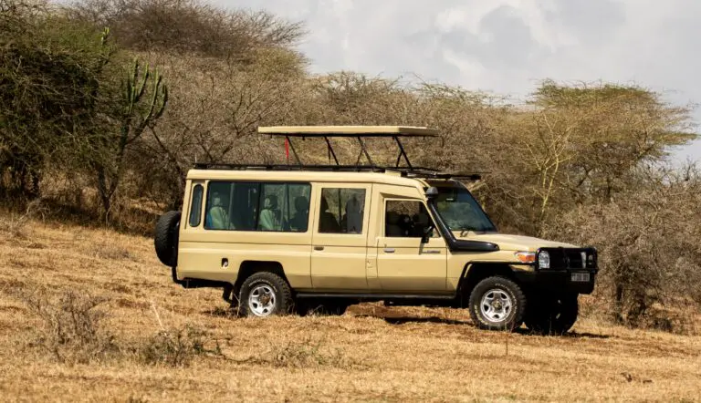 Land Cruiser Extended 003