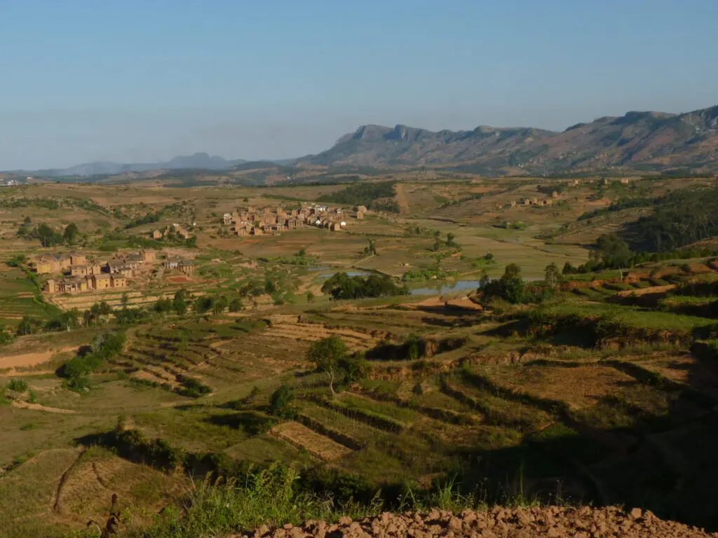 Landscape