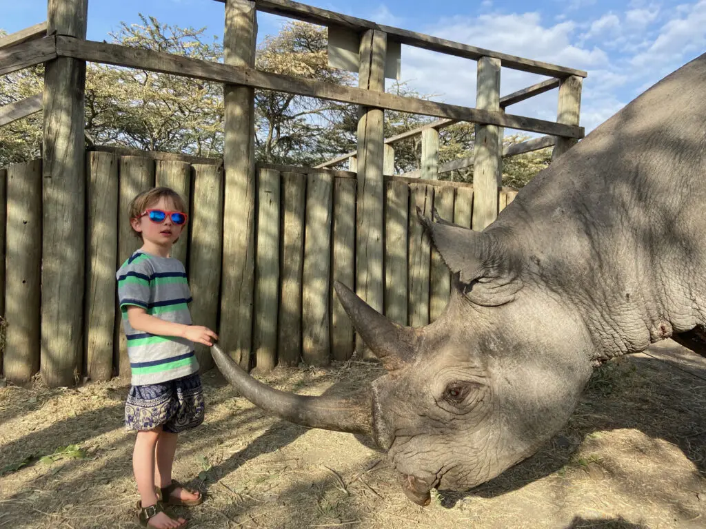 Little Boy Sunglasses Baraka Rhino Kenya Roadtrip Africajpeg
