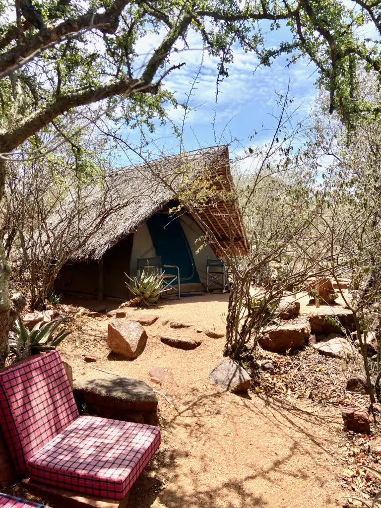 Maji Moto Ecocamp Glamping Tent Kenya Roadtrip Africa
