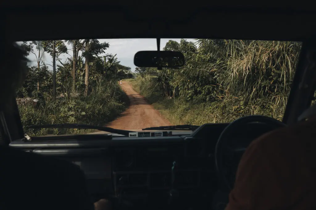 View through car window on red soil dirt road with palm trees in Uganda