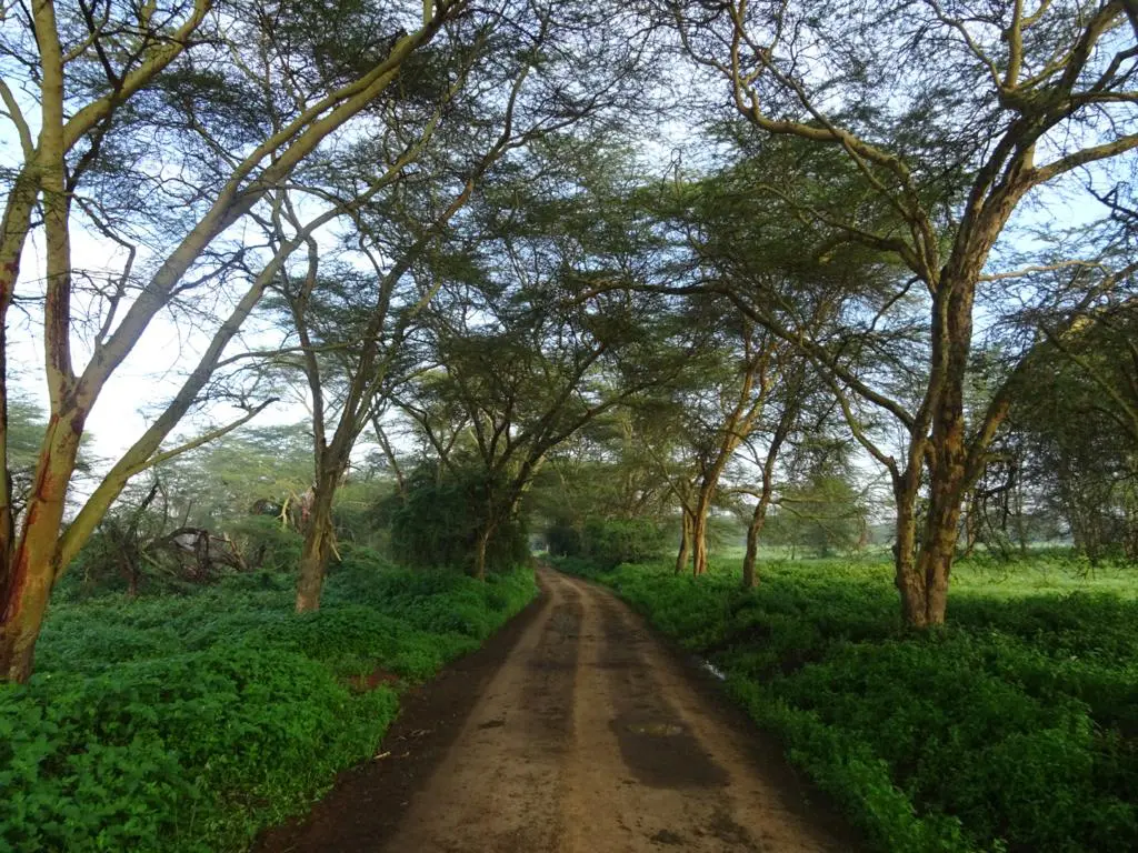 Nakuru NP In Rainy Season