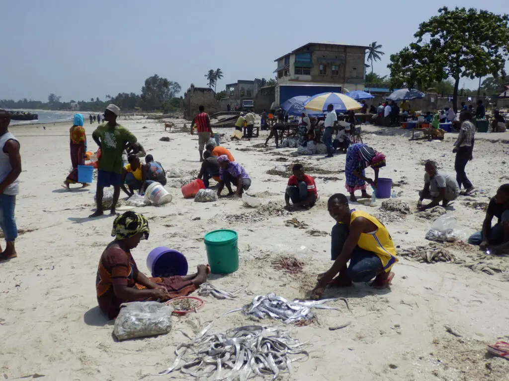 Bagamoyo fish market on the beach