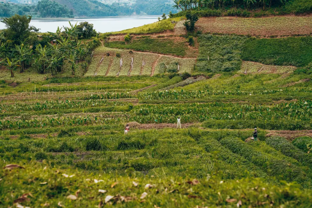 Road From Rushaga To Lake Mutanda (By Madelon)