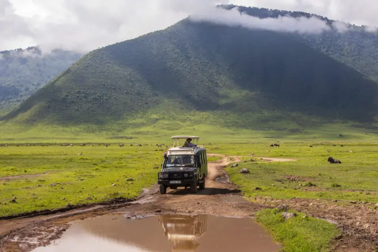Roadtrip Africa Toyota Landcruiser Driving Tanzania