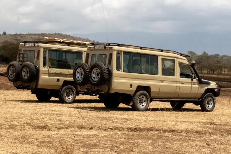 RTT Land Cruiser Extended (2 Of 3)