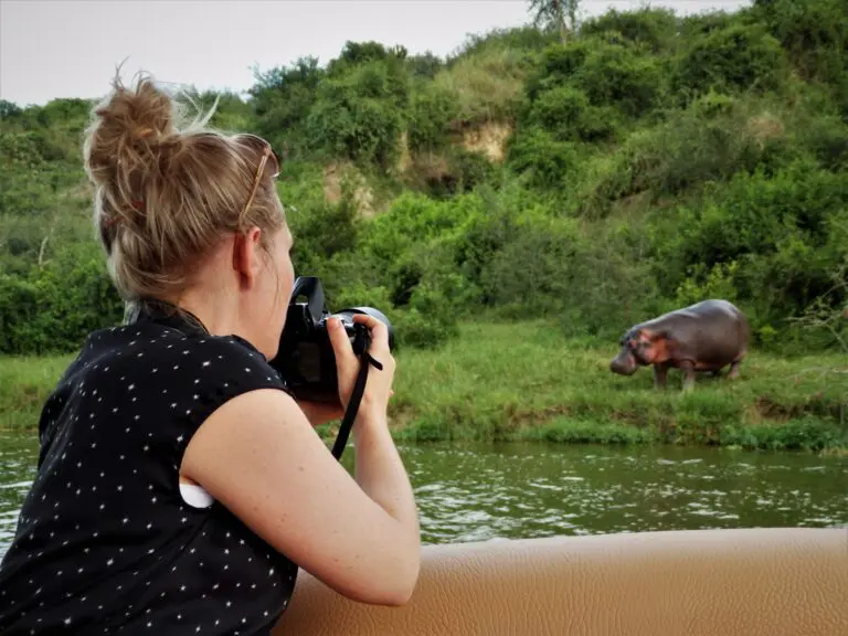 Gazing out and suddenly, you are able to snap a hippo