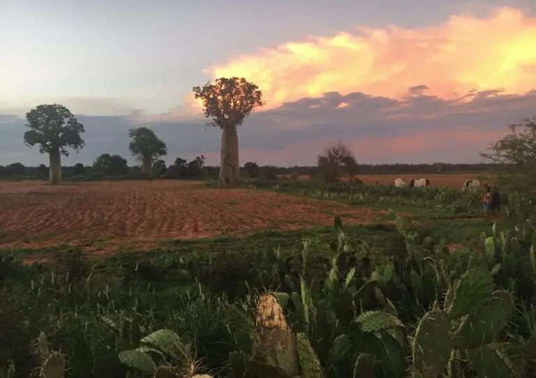 Southern Madagascar