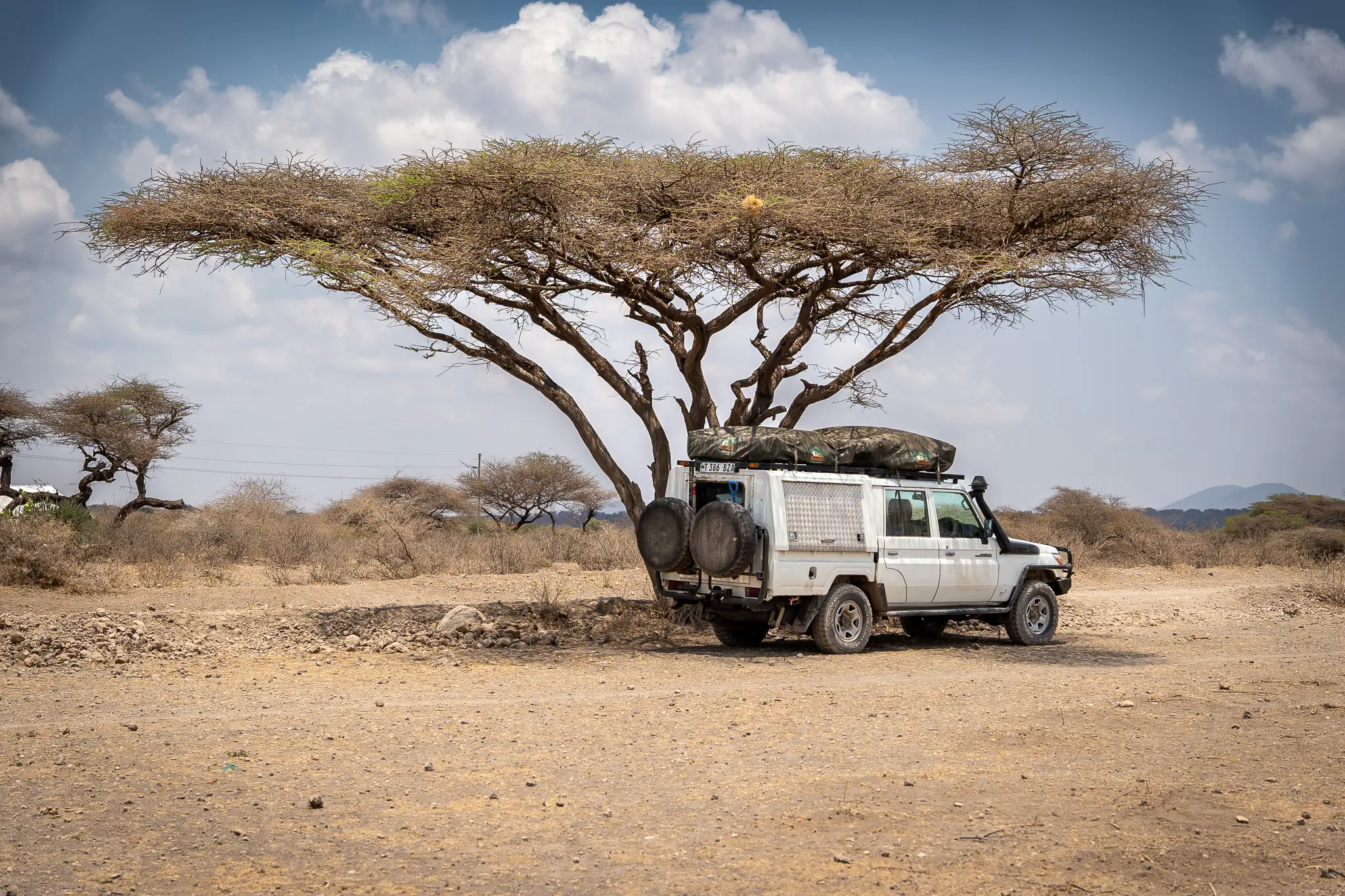 Self-drive safari in the Serengeti
