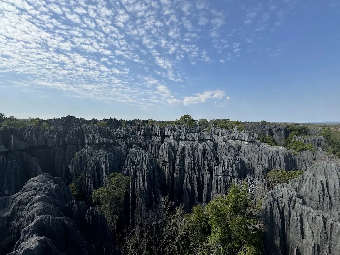 Tsingy De Bemaraha