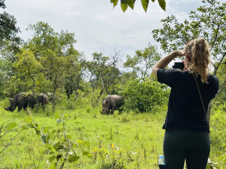Watching Rhino's In Ziwa