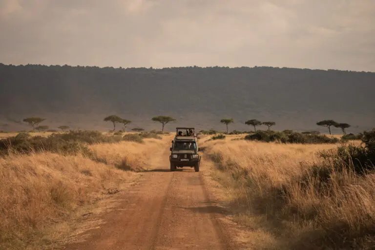 safari jeep driving on dirt road in african savanna