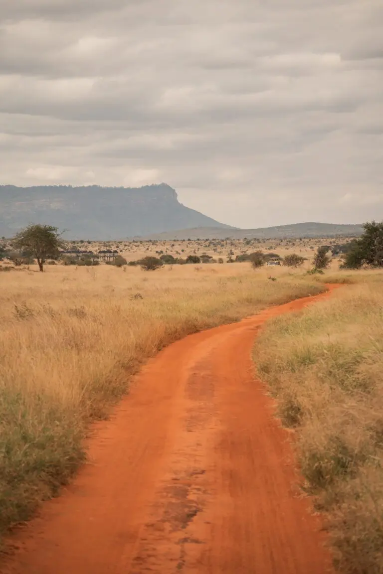 red dirt road winding through dry savanna landscape