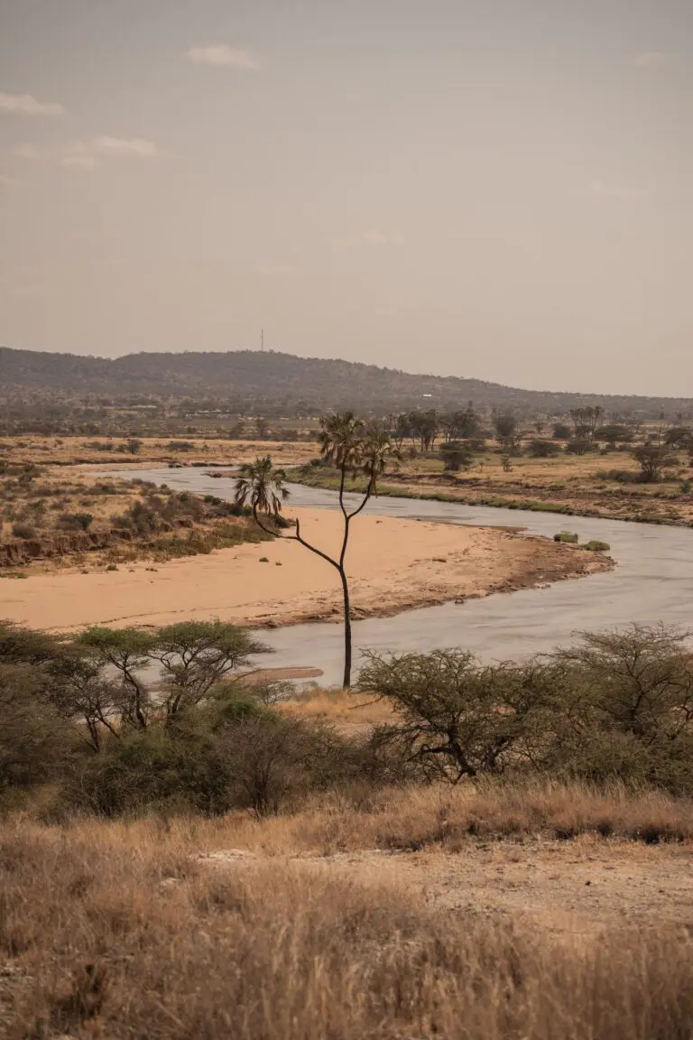 river winding through dry African landscape with palm trees