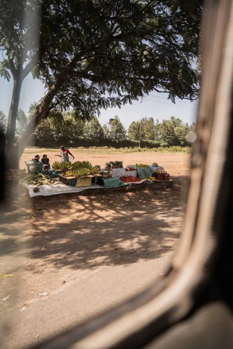 roadside fruit and vegetable stand with people under a tree