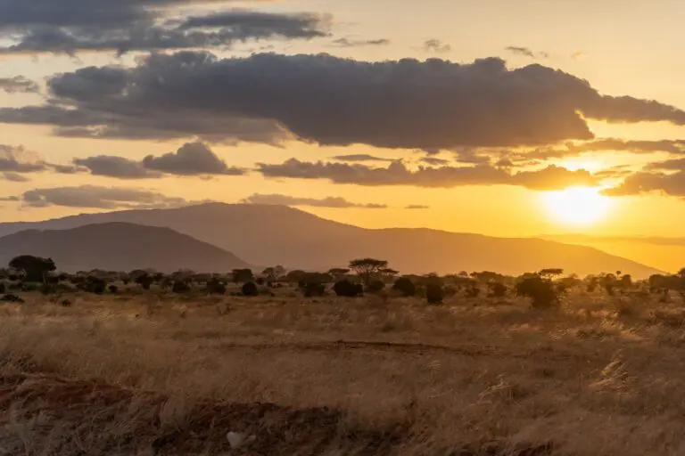 golden hour sunset over African savanna with mountains