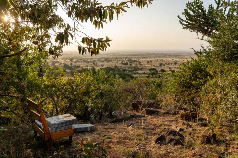 wooden bench overlooking a vast African savanna at sunset
