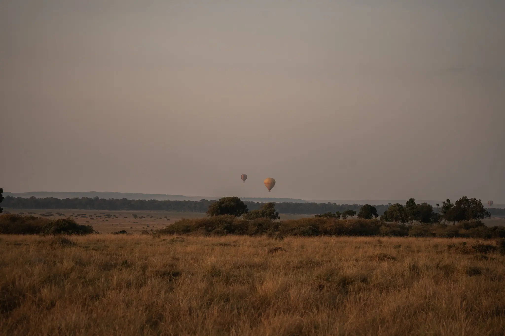 Heißluftballons über einer weiten Savannenlandschaft bei Sonnenaufgang