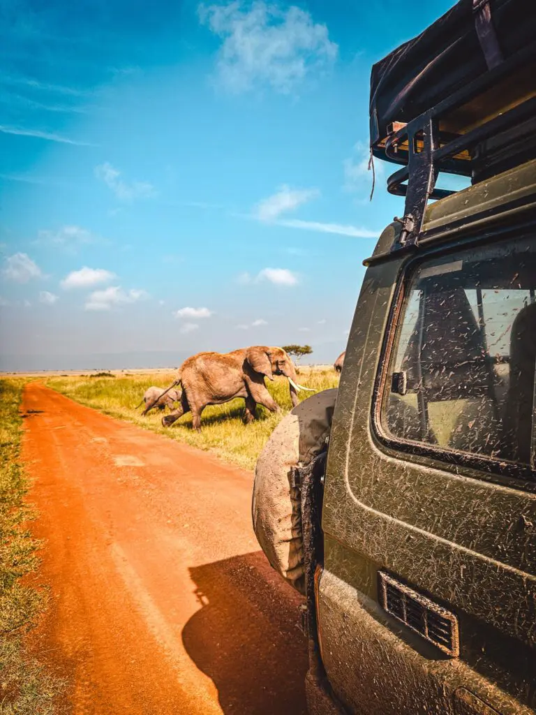 safari jeep on dirt road with elephants in kenya