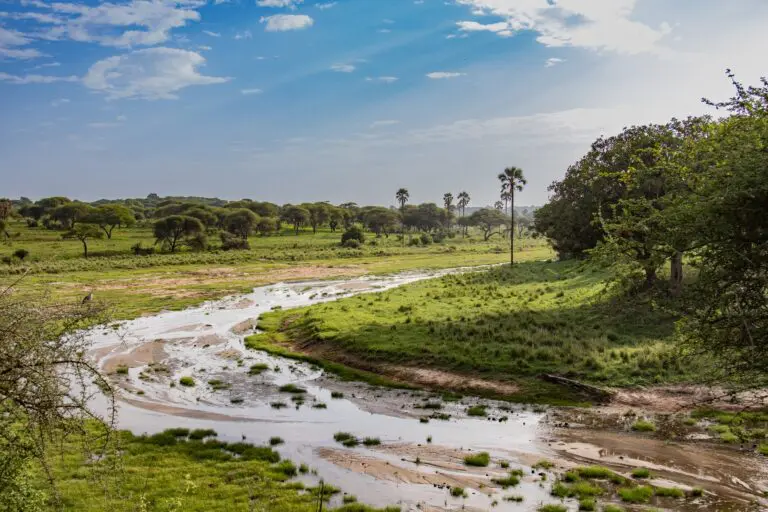 slingerende rivier door het groene savannelandschap van Tanzania