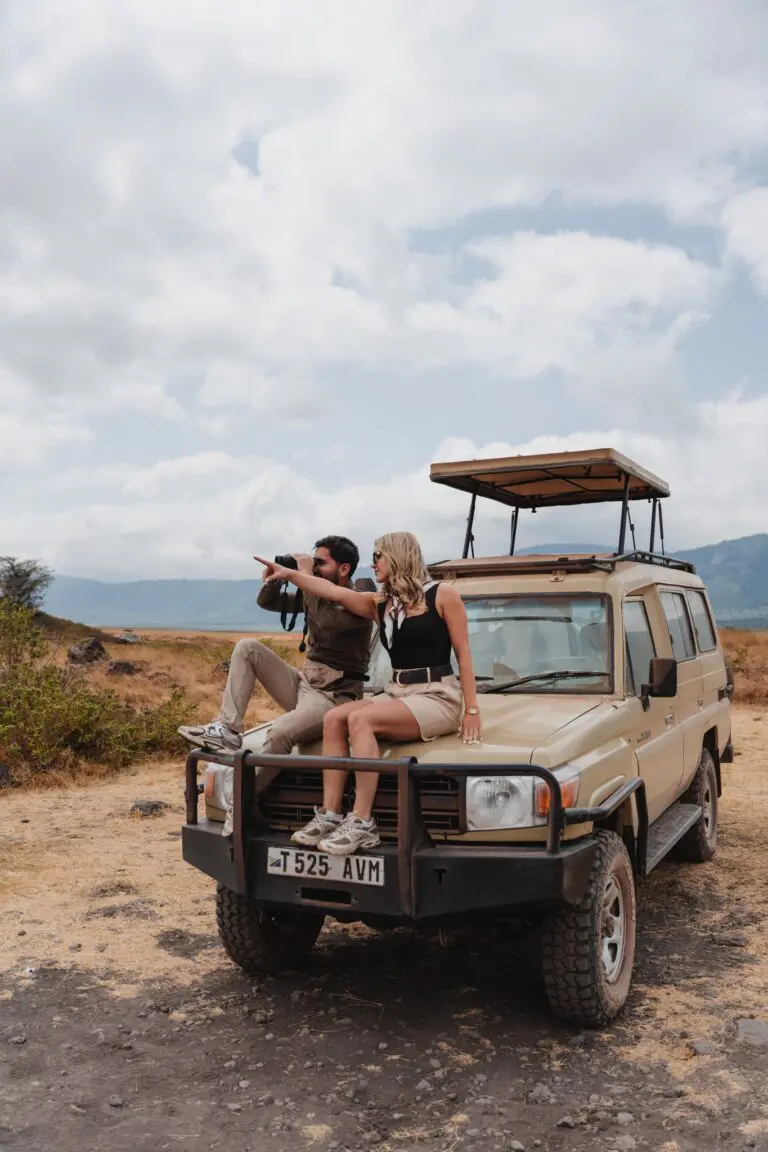 stel op een safari-jeep dat naar het landschap in Tanzania kijkt